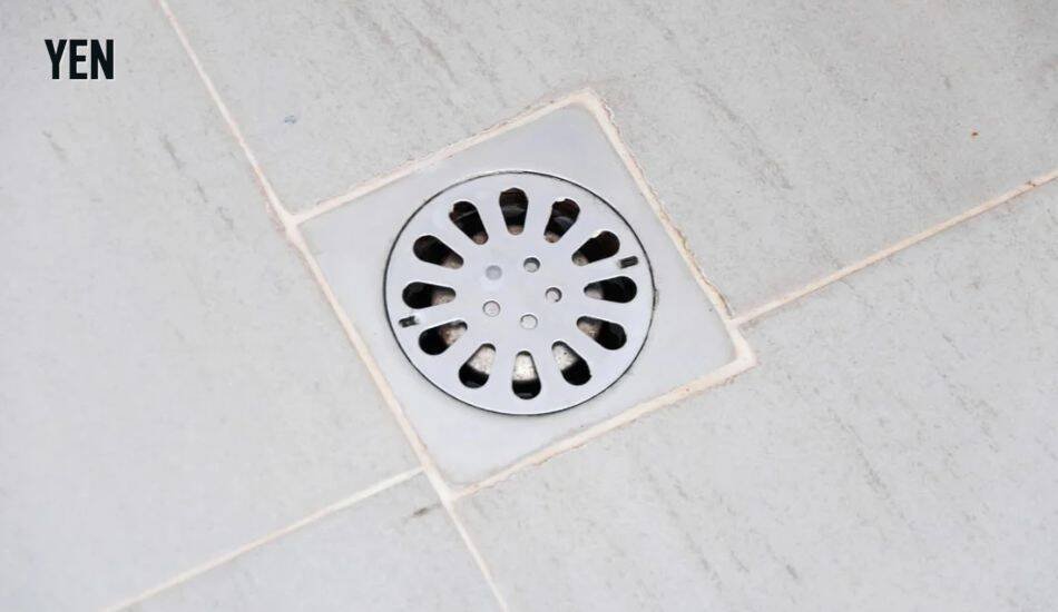 Floor Drain
