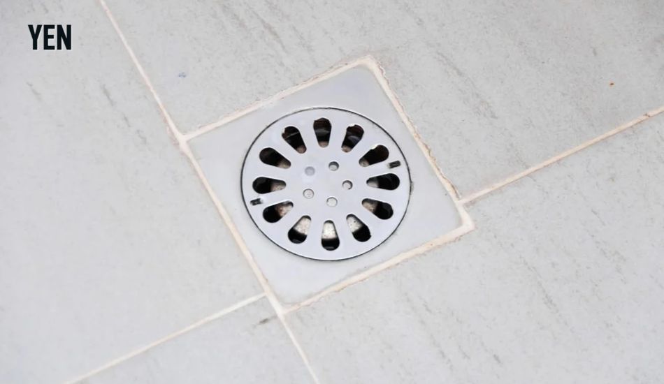 Floor Drain 