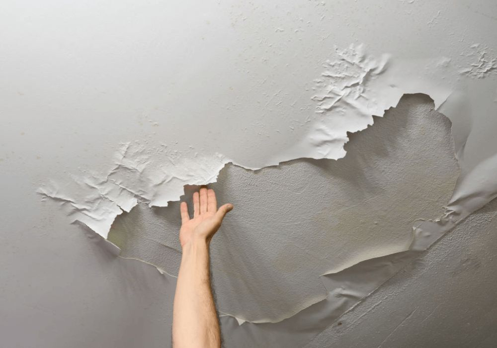 4 Penyebab Cat Tembok Mengelupas dan Cara Mengatasinya agar Dinding Kembali&nbsp;Rapi